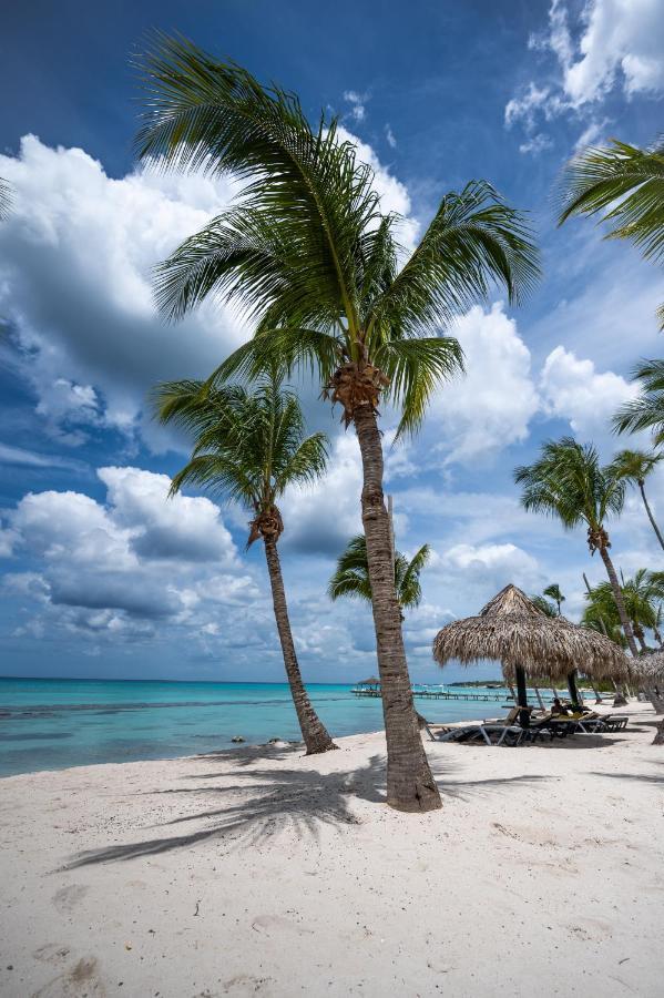 Family Dominicus Apartment - บายาฮิเบ ภายนอก รูปภาพ
